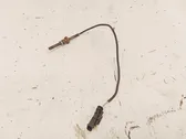 Exhaust gas temperature sensor