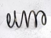 Front coil spring
