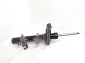 Front shock absorber/damper