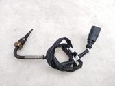 Abgastemperatursensor