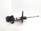 Front shock absorber/damper