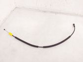 Línea de cable de puerta trasera