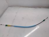 Rear door cable line