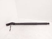 Tailgate/trunk strut/damper