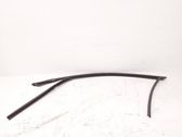 Front door glass trim molding