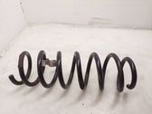 Rear coil spring
