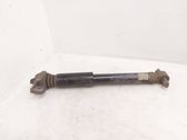 Rear shock absorber/damper