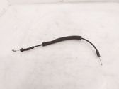 Línea de cable puerta delantera