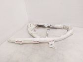 Roof airbag