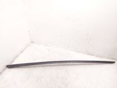 Windshield trim