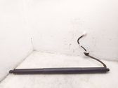 Tailgate/trunk strut/damper