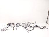 Other wiring loom