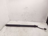Tailgate/trunk strut/damper