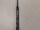 Tailgate/trunk strut/damper