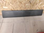 Sliding door trim (molding)