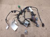 Other wiring loom