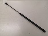 Tailgate/trunk strut/damper