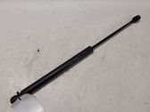 Tailgate/trunk strut/damper