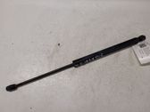 Tailgate/trunk strut/damper