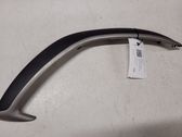 Rear door card trim