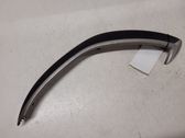Rear door handle trim