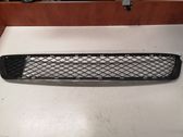 Front bumper lower grill