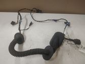 Rear door wiring loom