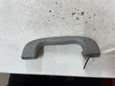 Front interior roof grab handle