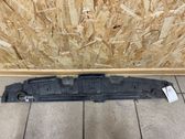 Front bumper skid plate/under tray