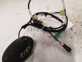 Radio antenna