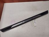 Front sill trim cover