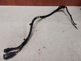 Other wiring loom