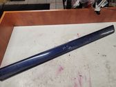 Front door trim (molding)