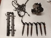Fuel injection system set