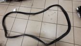 Rear door rubber seal (on body)