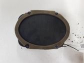 Rear door speaker