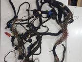 Sound system wiring loom