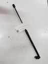 Tailgate/trunk strut/damper