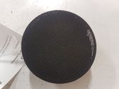 Panel speaker