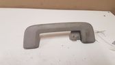 Front interior roof grab handle