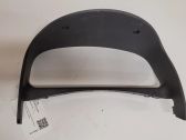 Dashboard trim