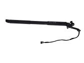 Tailgate/trunk strut/damper