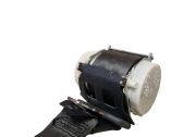 Middle seatbelt (rear)
