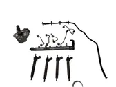 Fuel injection system set