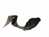 Support, suspension du moteur