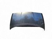 Motorhaube