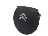 Fahrerairbag