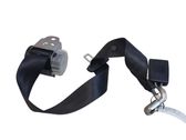 Middle seatbelt (rear)