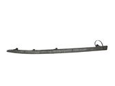 Rear bumper trim bar molding
