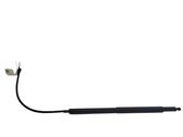 Tailgate/trunk strut/damper